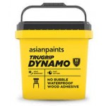 Asian Paint Adhesive TrueGrip Dynamo D3 